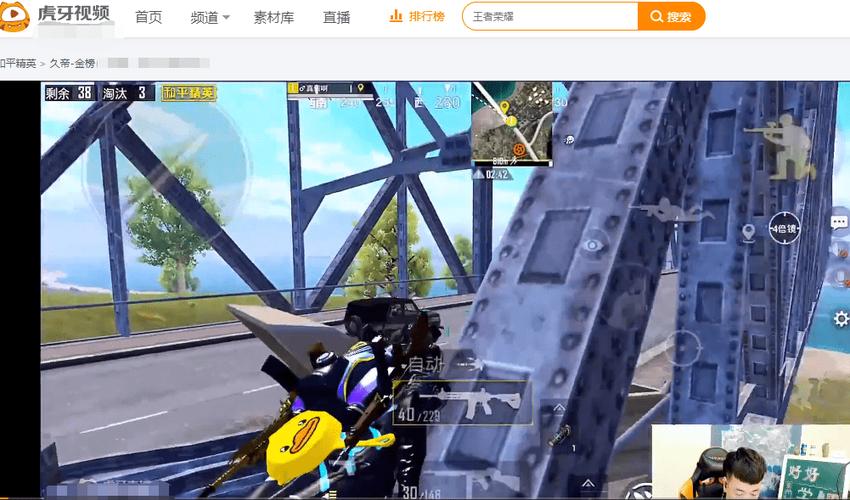 和平精英辅助【美杜莎容器直装V1.3】变色绘制 骨骼绘制 掩体变色 手持显示 全枪无死角漏打 扫车打鸟 范围可调节