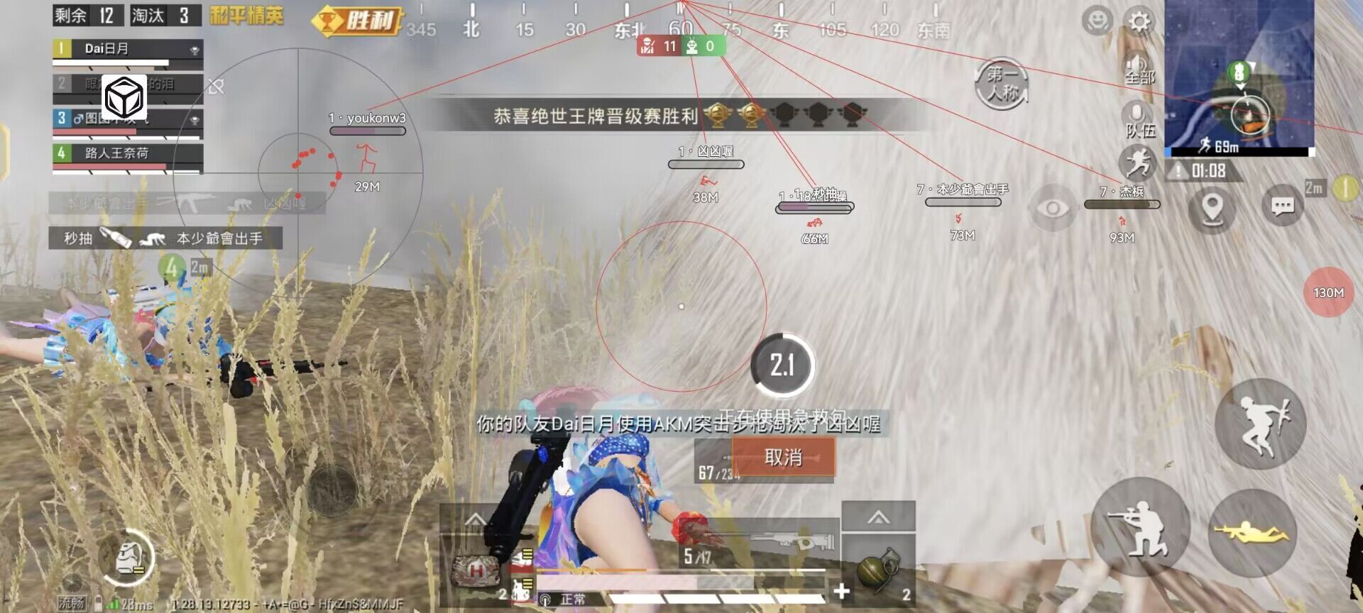 和平精英《向日葵》外挂